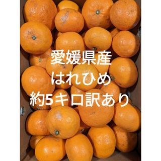 愛媛県産はれひめ訳あり(フルーツ)