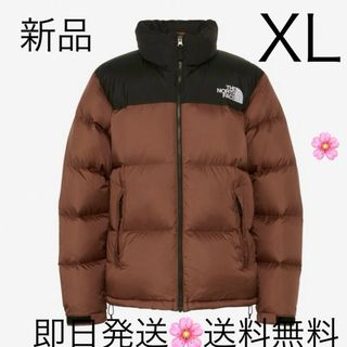 THE NORTH FACE - 【希少】バルトロライトジャケット 人気色ケルプタン