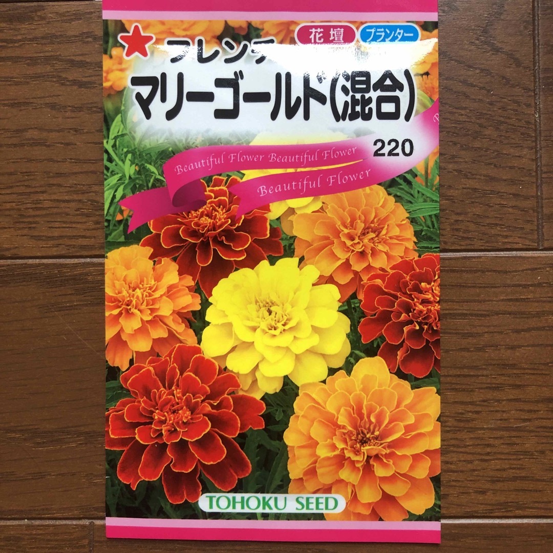 マリーゴールドの種　草丈低め　フレンチ種  ハンドメイドのフラワー/ガーデン(その他)の商品写真