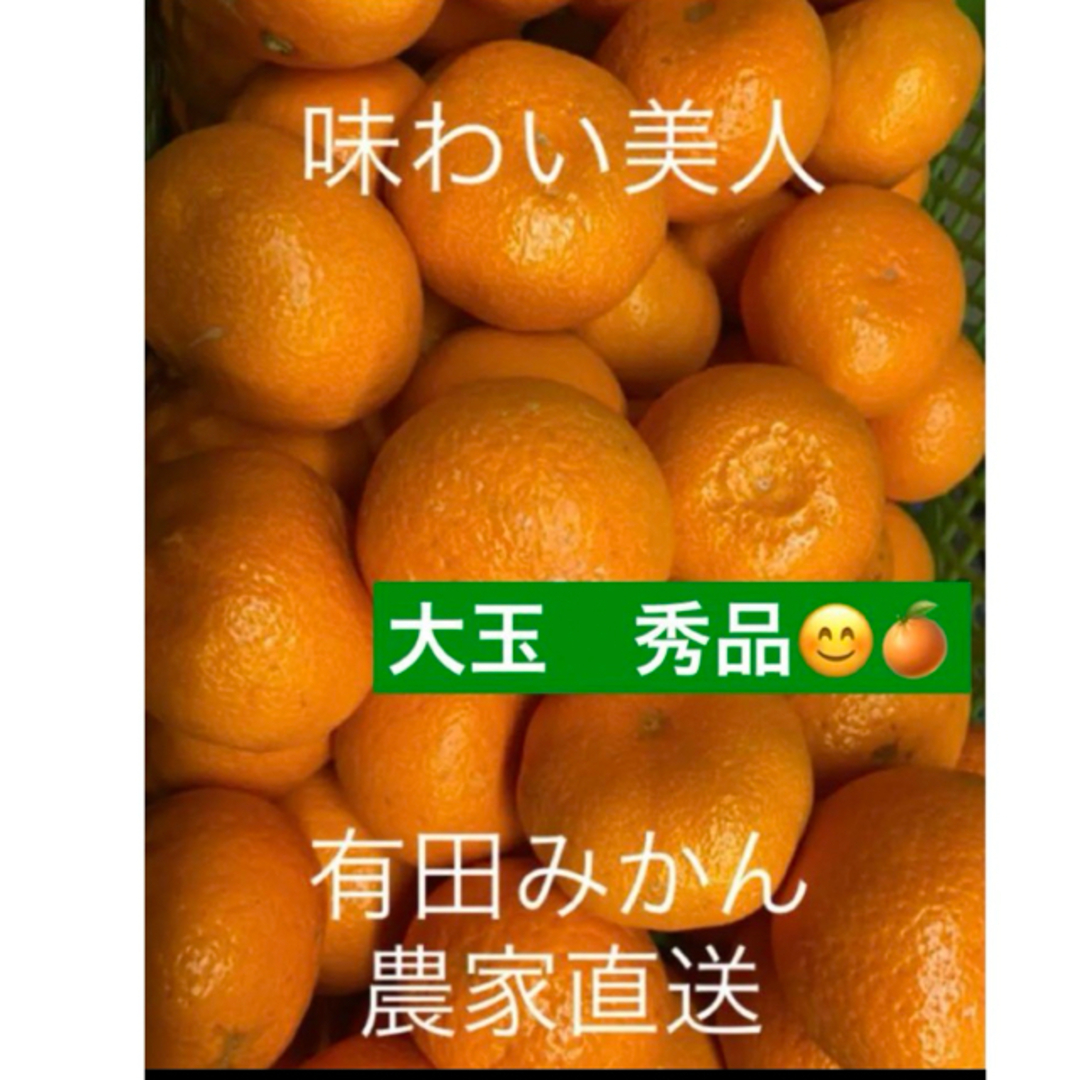 有田みかん農家直送⭐️ブランド味わい美人大玉秀品箱込み10キロ 食品/飲料/酒の食品(フルーツ)の商品写真