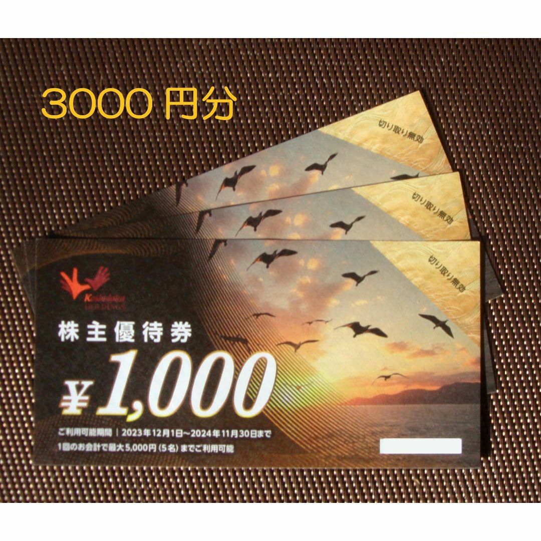 コシダカ 株主優待券 3000円分 チケットの施設利用券(その他)の商品写真