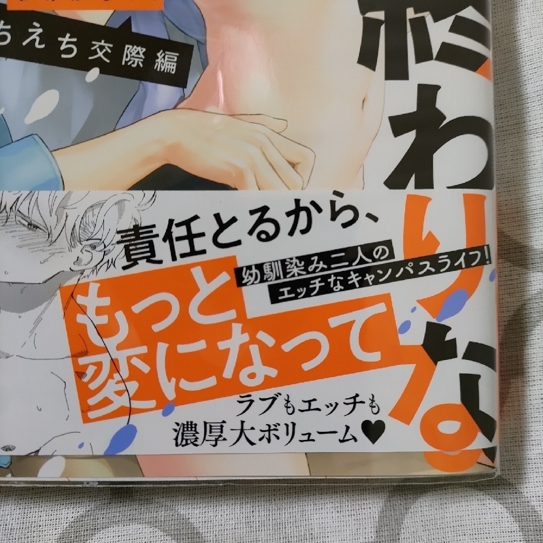 新品☆イッて終わりなわけがない！　えちえち交際編 エンタメ/ホビーの漫画(ボーイズラブ(BL))の商品写真