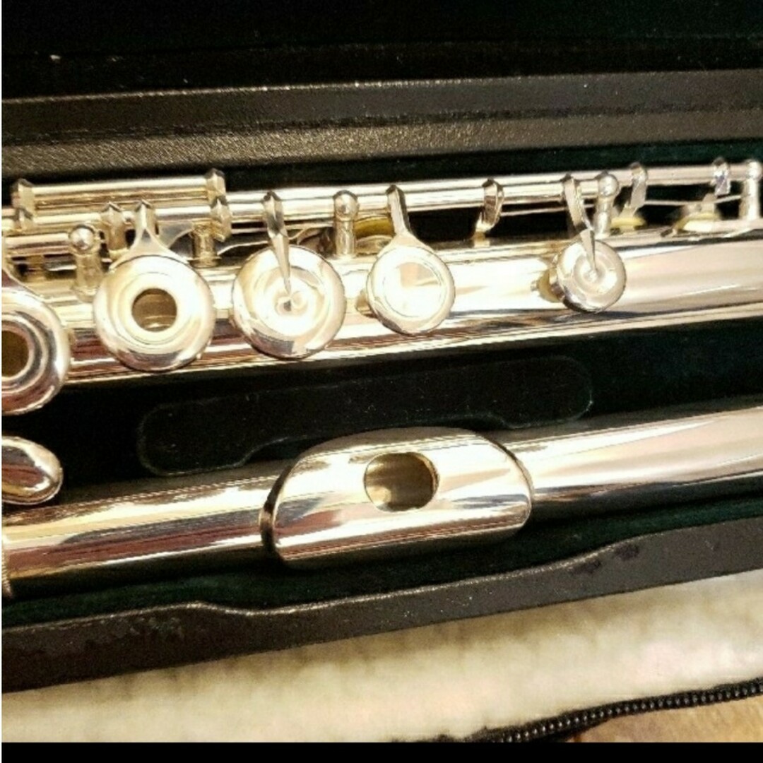 pearl(パール)の2種ケース付き パールフルート リングキー Eメカタイプ 楽器の管楽器(フルート)の商品写真