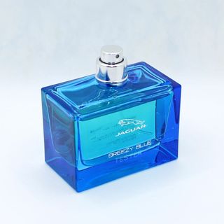 ジャガー(Jaguar)のジャガー ブリーズィーブルー オードトワレ 60ml 香水(香水(男性用))