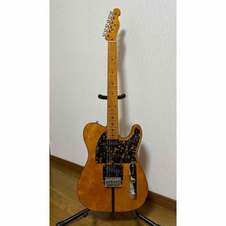 Hurricane by Morris Mad Cat Telecaster(エレキギター)