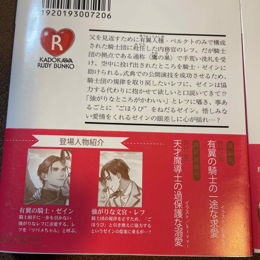 有翼の騎士の一途な求愛 エンタメ/ホビーの本(その他)の商品写真