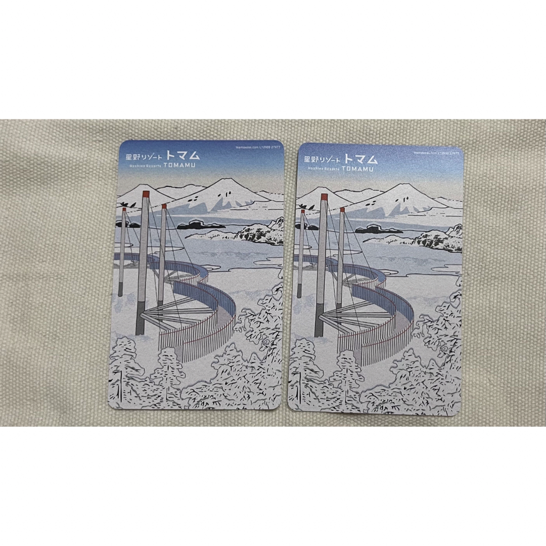 トマム　雲海テラス　雲海ゴンドラ　リフト券 チケットの施設利用券(スキー場)の商品写真