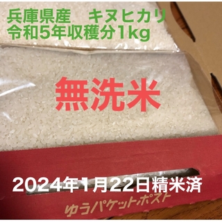 白米　兵庫県産　キヌヒカリ　1kg(米/穀物)