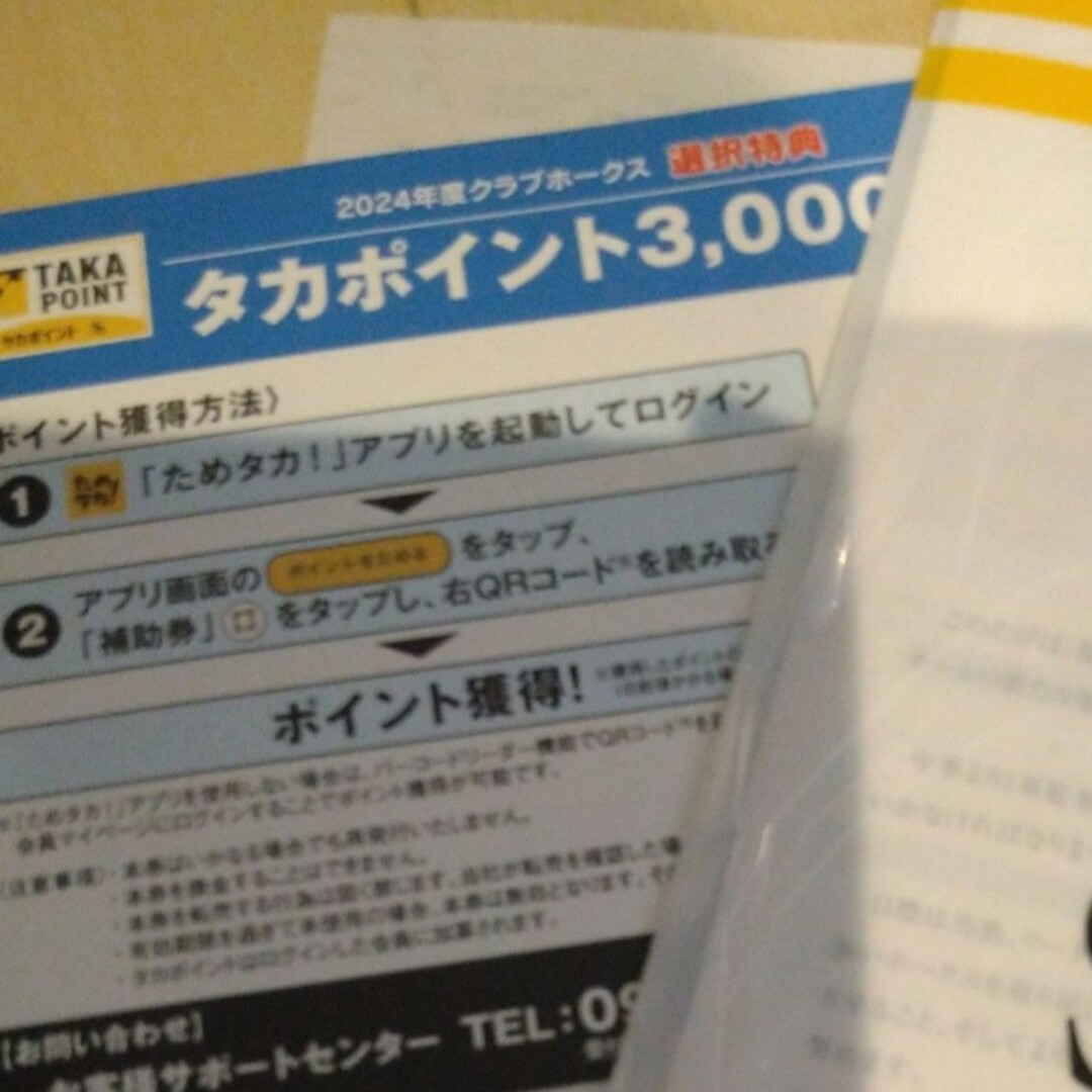 福岡ソフトバンクホークス ファンクラブ特典 タカポイント3000 - 野球