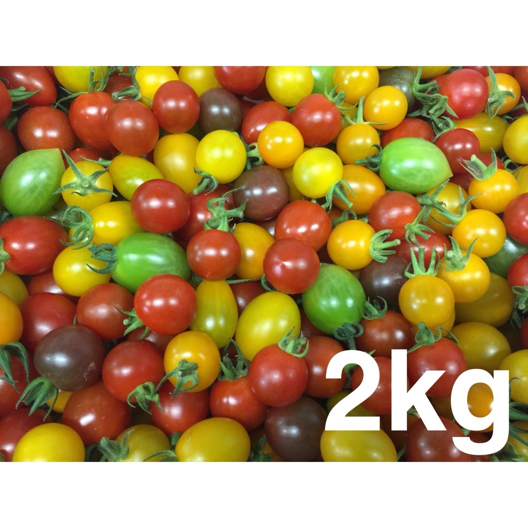ミニトマト2kgミックス 食品/飲料/酒の食品(野菜)の商品写真