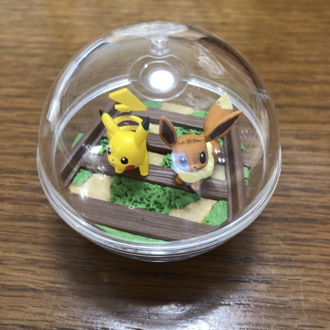 ポケモン(ポケモン)のポケモン　テラリウム エンタメ/ホビーのアニメグッズ(その他)の商品写真