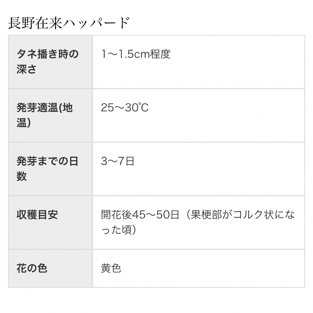 【長野在来ハッパード】 国内育成・採取 家庭菜園 種 タネ カボチャ 南瓜 野菜 食品/飲料/酒の食品(野菜)の商品写真