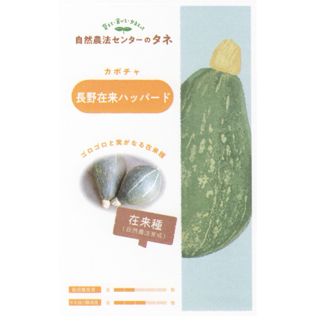 【長野在来ハッパード】 国内育成・採取 家庭菜園 種 タネ カボチャ 南瓜 野菜 食品/飲料/酒の食品(野菜)の商品写真