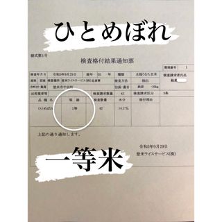 白米　精米　令和5年産　一等米　5キロ　ひとめぼれ　宮城県登米市中田町(米/穀物)