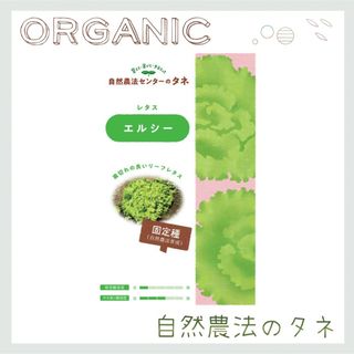 【エルシー】  国内育成・採取 家庭菜園 種 タネ レタス 野菜(野菜)