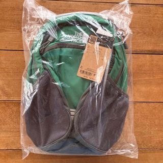 ザノースフェイス(THE NORTH FACE)の【新品・未開封】ノースフェイス スモールデイ バックパック リュック 15L(リュックサック)