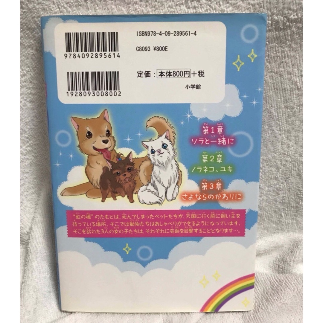 小学館(ショウガクカン)の虹の橋でキミに会えたら エンタメ/ホビーの本(文学/小説)の商品写真