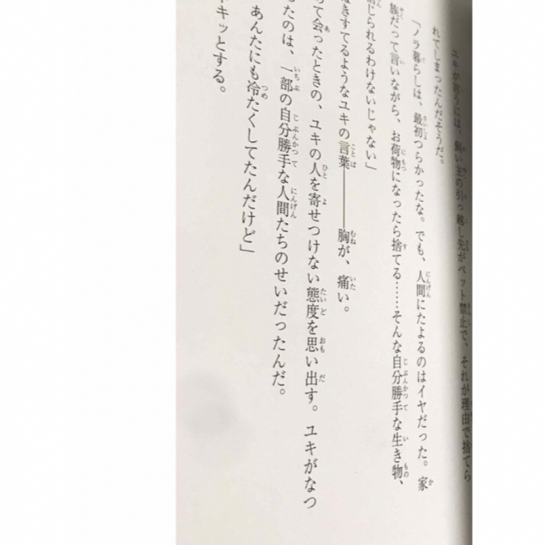 小学館(ショウガクカン)の虹の橋でキミに会えたら エンタメ/ホビーの本(文学/小説)の商品写真