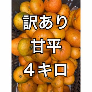 訳あり甘平　4キロ(フルーツ)