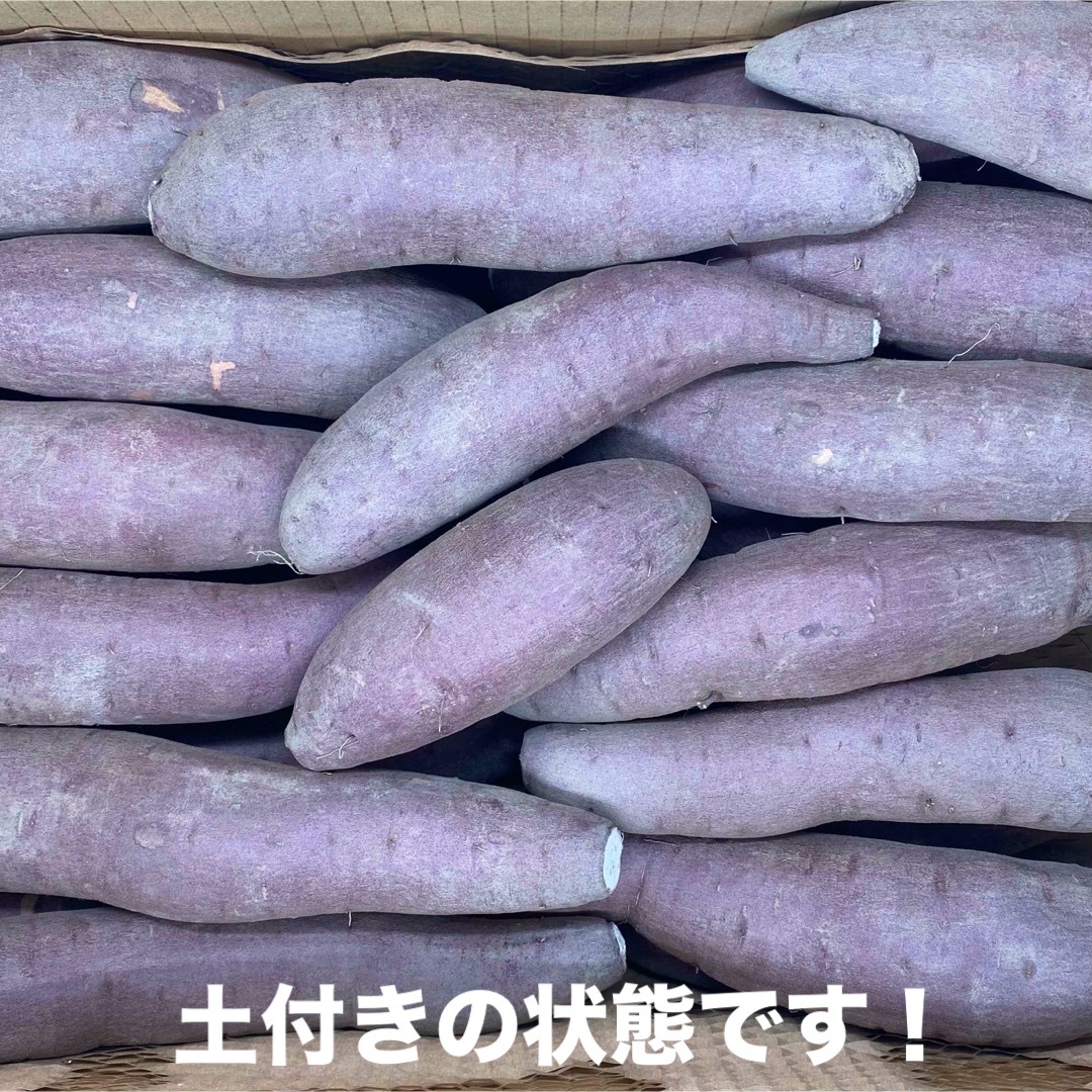 【SMサイズ】シルクスイート 5Kg 愛知県産さつまいも 食品/飲料/酒の食品(野菜)の商品写真