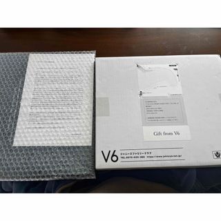 ブイシックス(V6)のV6 記念リーフレット(アイドルグッズ)