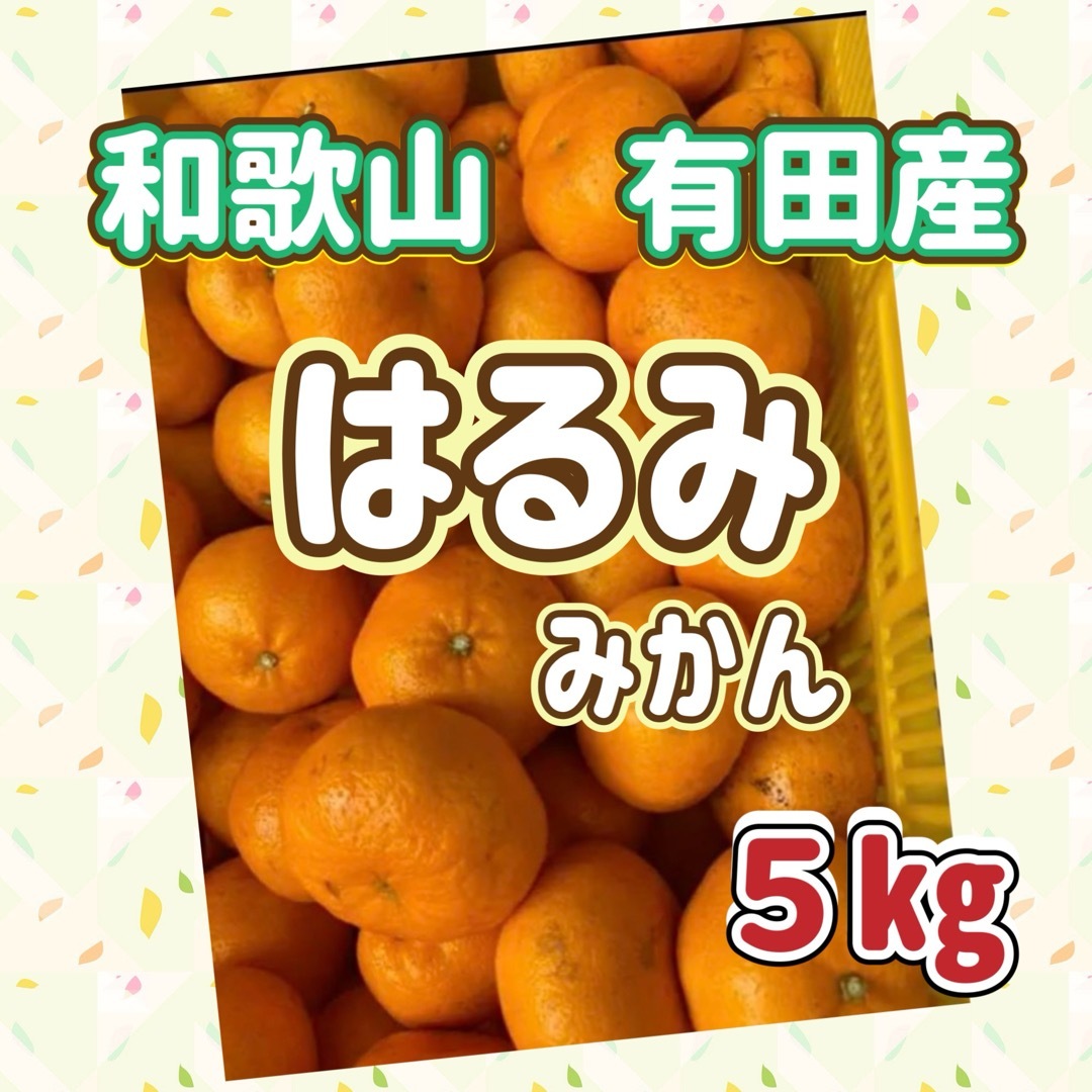 和歌山有田産 はるみみかん 5kg 食品/飲料/酒の食品(フルーツ)の商品写真