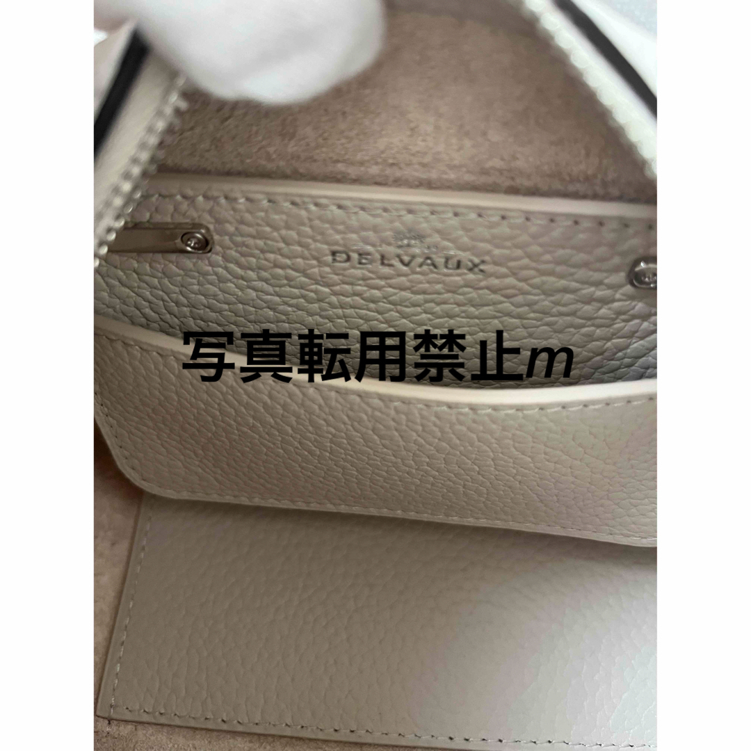 DELVAUX(デルヴォー)の8080❤︎様専用！デルヴォー　クールボックスナノ　セサミ　2024新色　新品 レディースのバッグ(ハンドバッグ)の商品写真