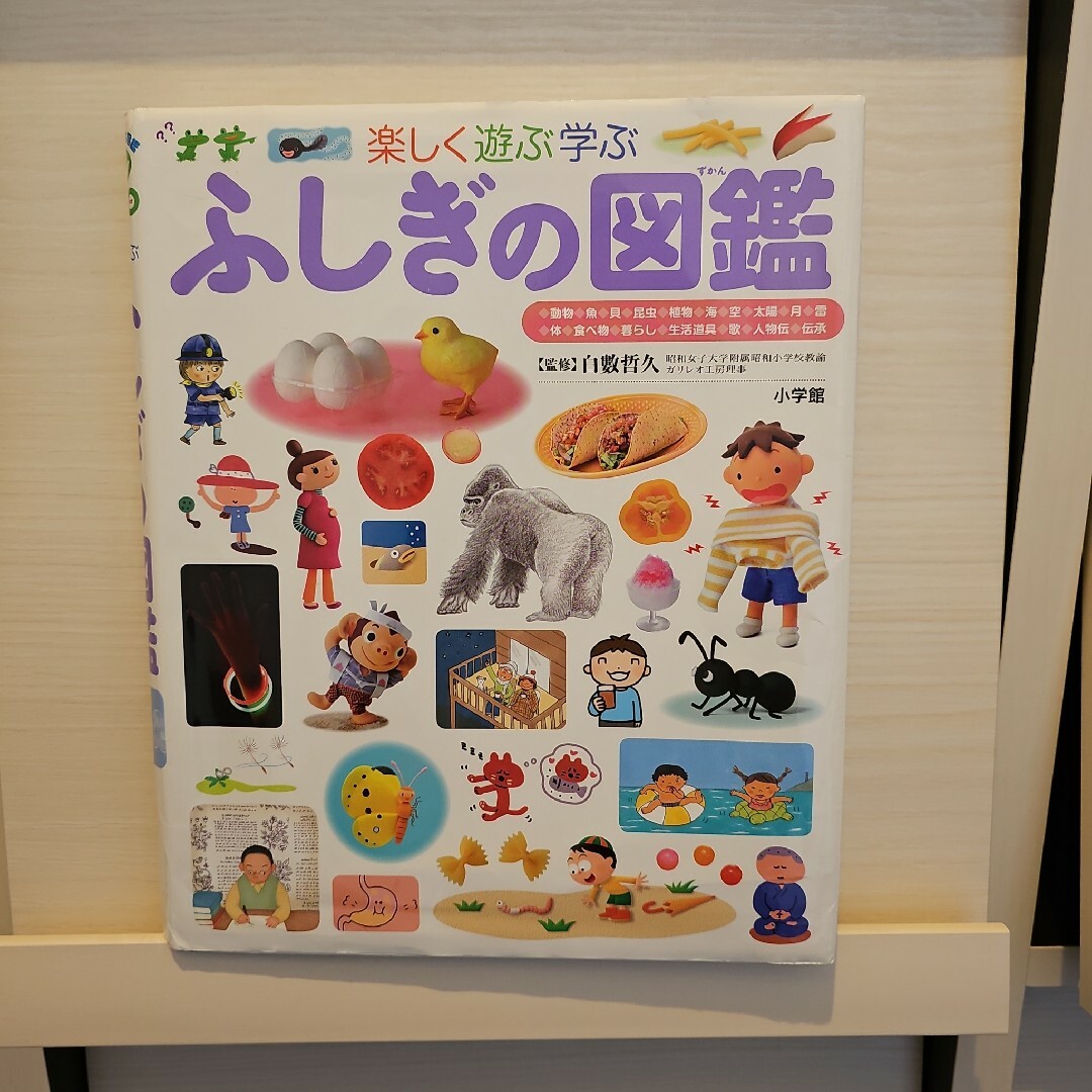 ふしぎの図鑑 エンタメ/ホビーの本(絵本/児童書)の商品写真