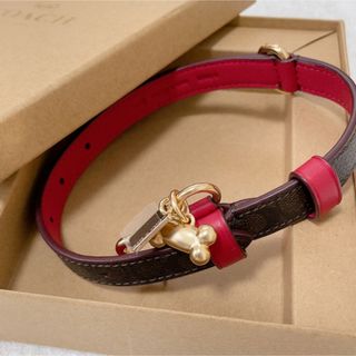 コーチ(COACH)のCOACH 犬用首輪(犬)