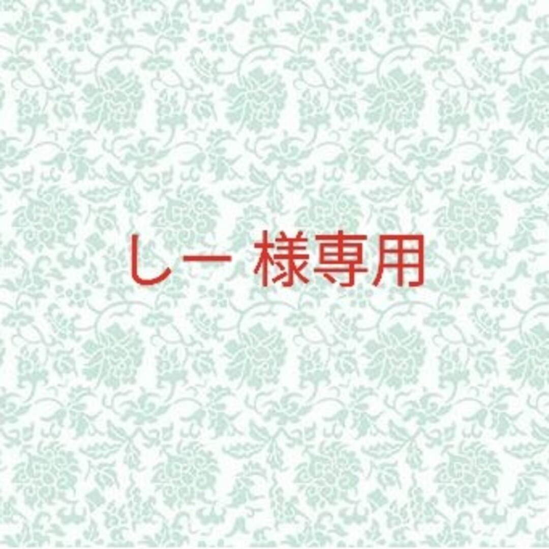 the saem(ザセム)のしー 様専用 コスメ/美容のベースメイク/化粧品(コンシーラー)の商品写真