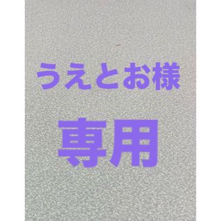 うえとお様　専用(個人装備)