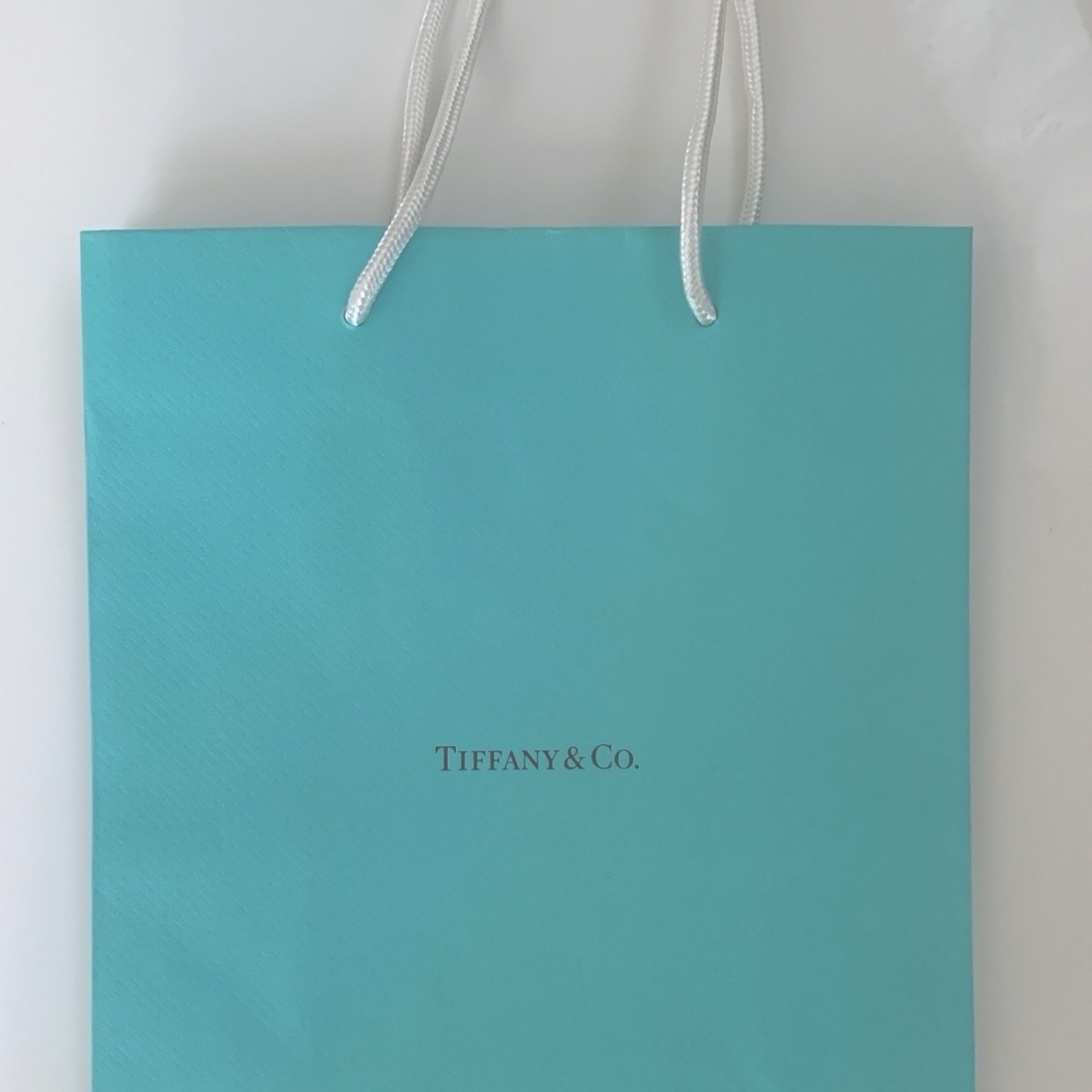 Tiffany & Co.(ティファニー)のティファニー紙袋　TIFFNY 直営店　本物 レディースのバッグ(ショップ袋)の商品写真