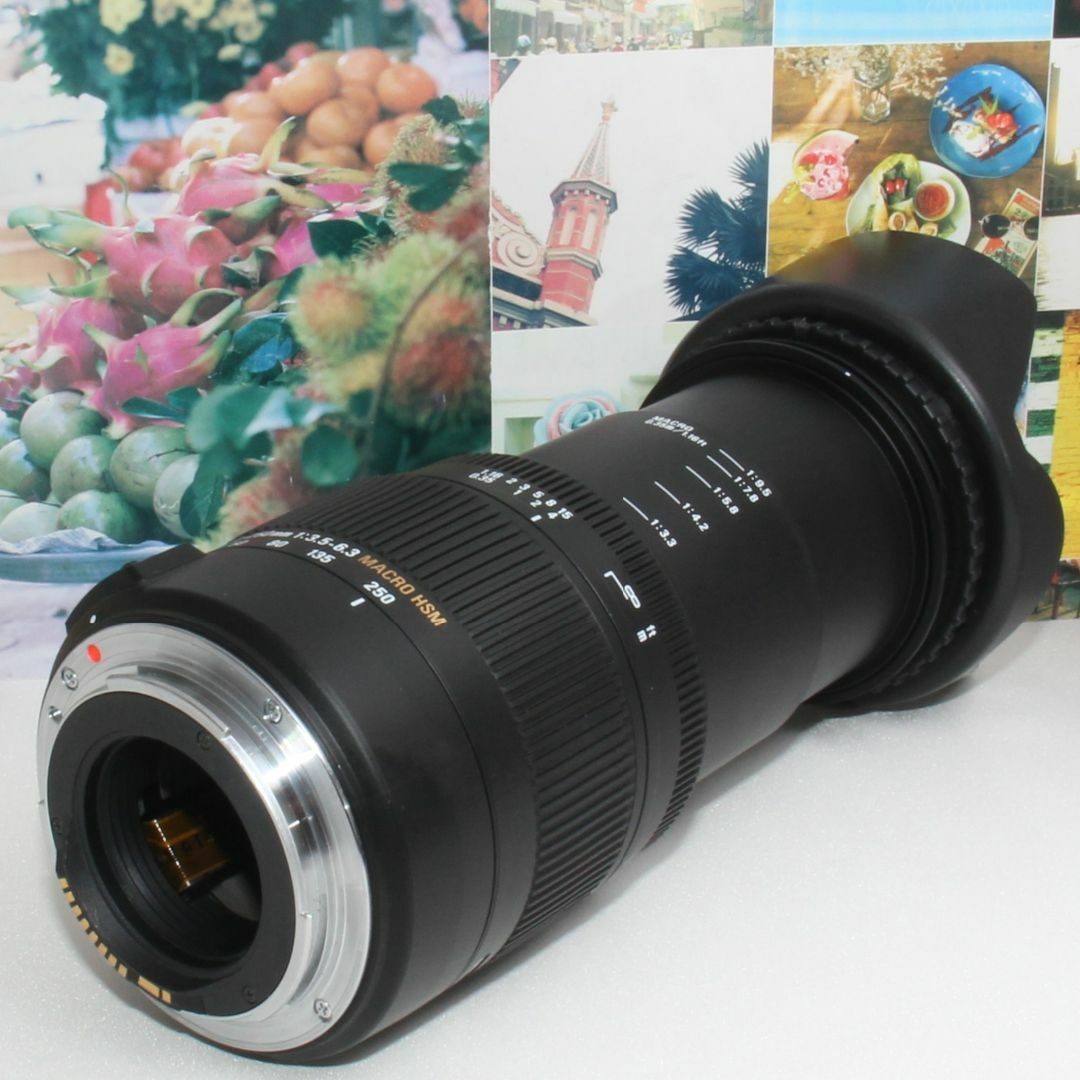 SIGMA(シグマ)の❤️手振れ補正内蔵❤️シグマ 18-250mm DC OS HSM キャノン用 スマホ/家電/カメラのカメラ(デジタル一眼)の商品写真