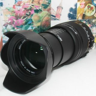 シグマ(SIGMA)の❤️手振れ補正内蔵❤️シグマ 18-250mm DC OS HSM キャノン用(デジタル一眼)