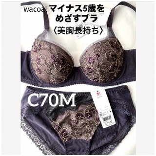 Wacoal - 【新品タグ付】ワコール／SheerBraシアーブラ・D80L（定価 ...