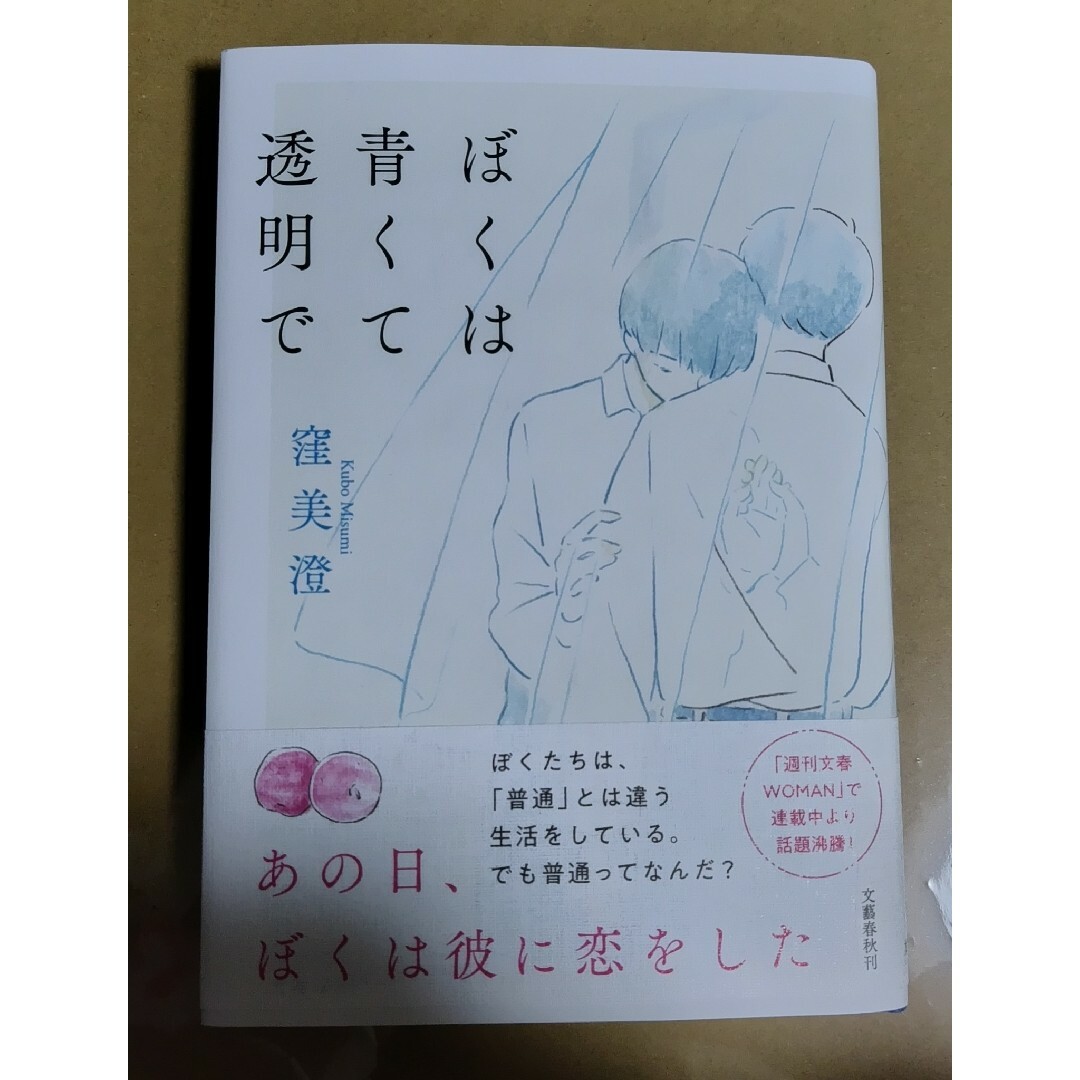 ぼくは青くて透明で エンタメ/ホビーの本(文学/小説)の商品写真