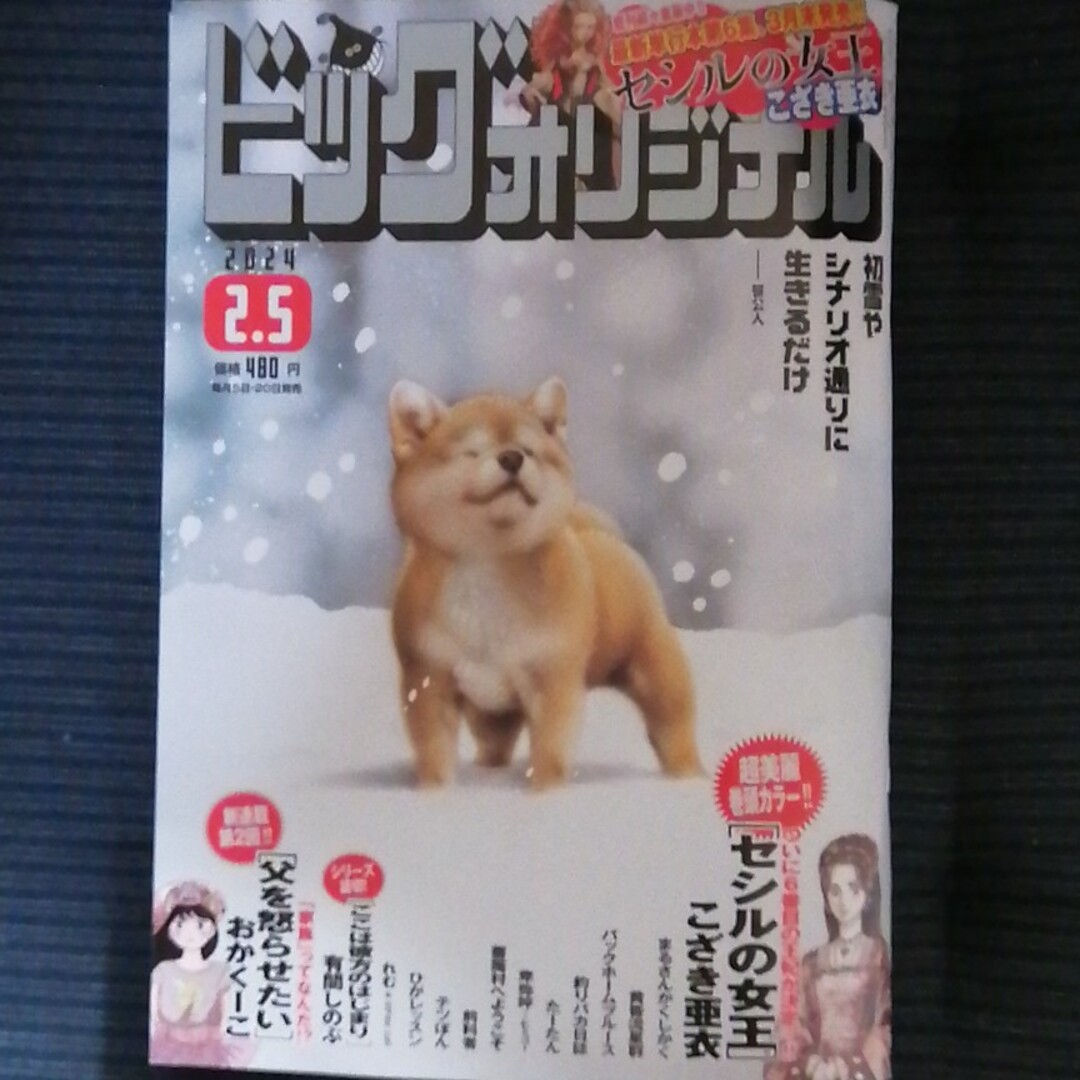 ビッグコミック オリジナル 2024年 2/5号 [雑誌] エンタメ/ホビーの雑誌(アート/エンタメ/ホビー)の商品写真