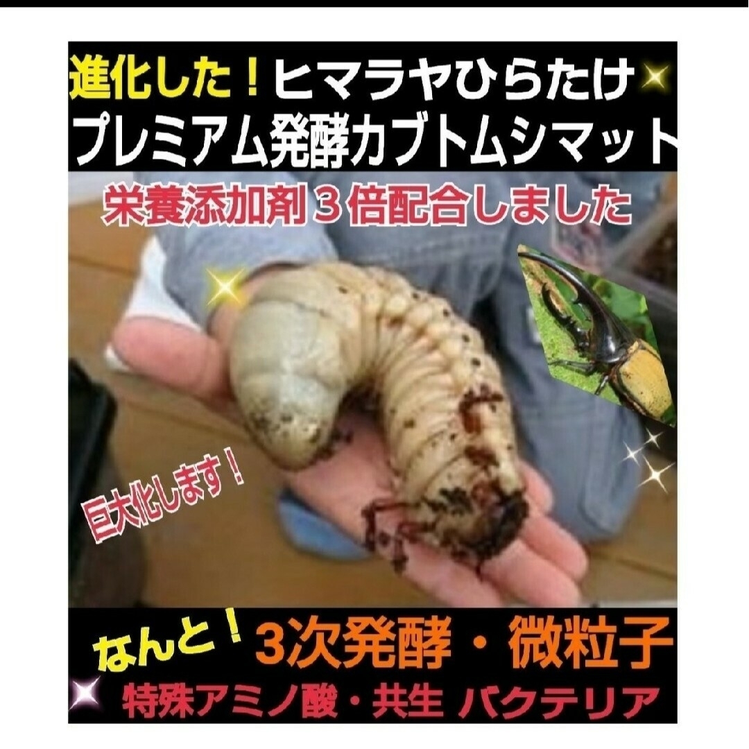 極上！プレミアム3次発酵カブトムシマット【80L】特殊アミノ酸強化配合！産卵にもその他