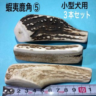 鹿の角　犬用品　小型犬用3本(犬)