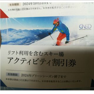 日本駐車場開発 株主優待 リフト利用割引券アクティビティ割引券1枚(スキー場)