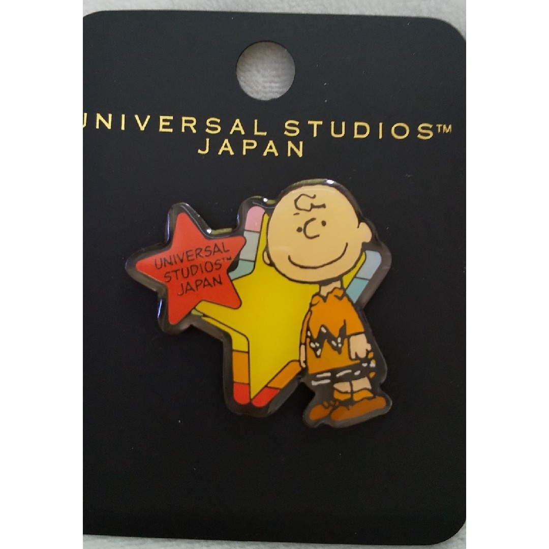 5 USJ ピンバッジ チャーリー・ブラウン SNOOPY 2点 エンタメ/ホビーのアニメグッズ(バッジ/ピンバッジ)の商品写真