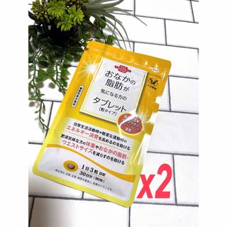 タイショウセイヤク(大正製薬)の大正製薬 おなかの脂肪が気になる方のタブレット(ダイエット食品)