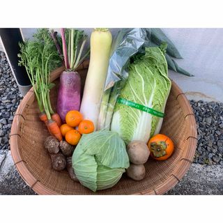 無農薬野菜、野菜セット、愛媛県産(野菜)