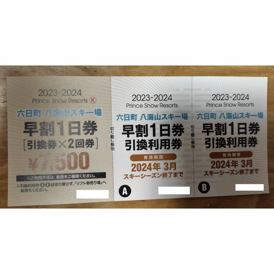 六日町 八海山スキー場 リフト1日券 2枚 - ウィンタースポーツ