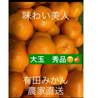 有田みかん農家直送⭐️ブランド味わい美人大玉秀品箱込み10キロ(フルーツ)