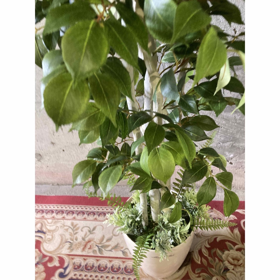 光触媒 人工観葉植物 ウォールグリーン フェイクグリーン 光触媒 人工観葉植物 ウォールグリーン フェイクグリーン