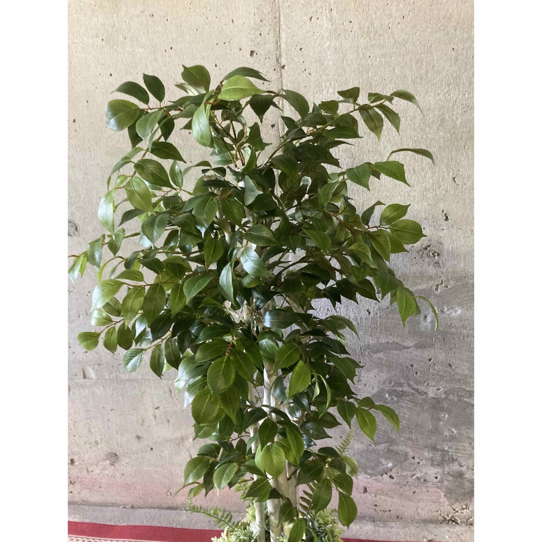 光触媒 人工観葉植物 ウォールグリーン フェイクグリーン