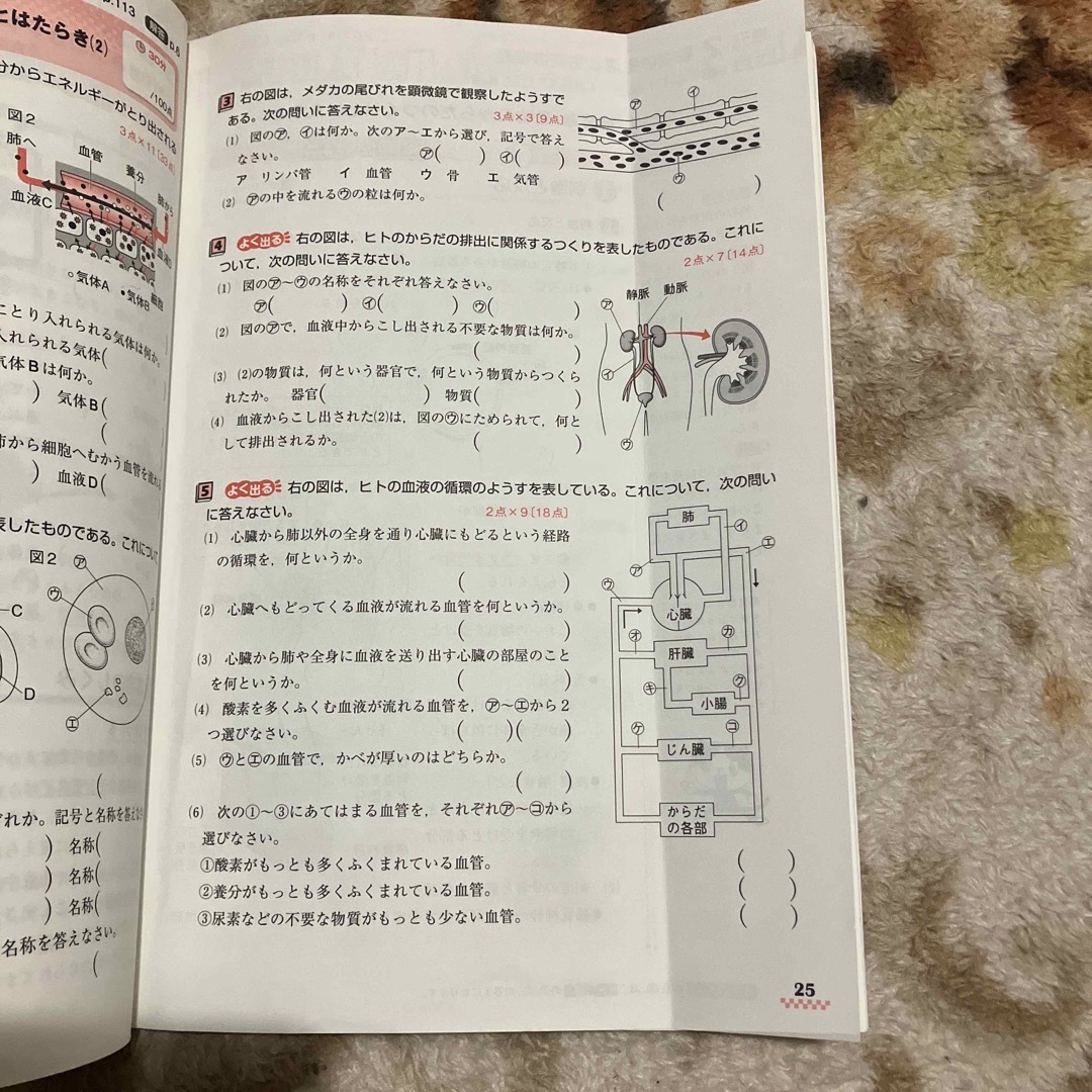 東京書籍版理科　中間期末の攻略本２年 エンタメ/ホビーの本(科学/技術)の商品写真