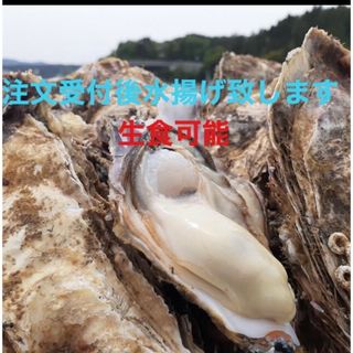 南三陸志津川産　漁師直送　生食可　真牡蠣3kg 送料込み　注文受付後水揚げ！(魚介)