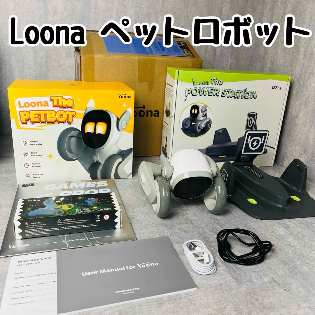 【激レア！】Loona ルーナ ペットロボット 付属品付き エンタメ/ホビーのおもちゃ/ぬいぐるみ(その他)の商品写真